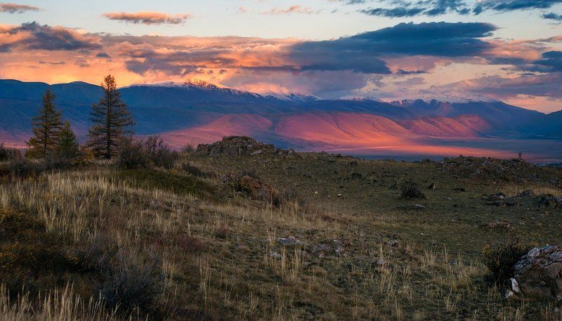 горы, склоны, вечер, свет, тень, лиственницы, курай, курайский хребет, горный алтай, республика алтай Сидя на Курайском холме…photo preview