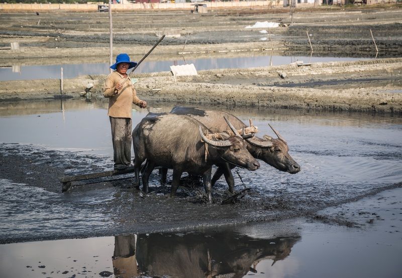 Тяжелый трудphoto preview