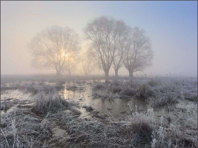 Туман солнце половодье Половодье на р.Удыphoto preview
