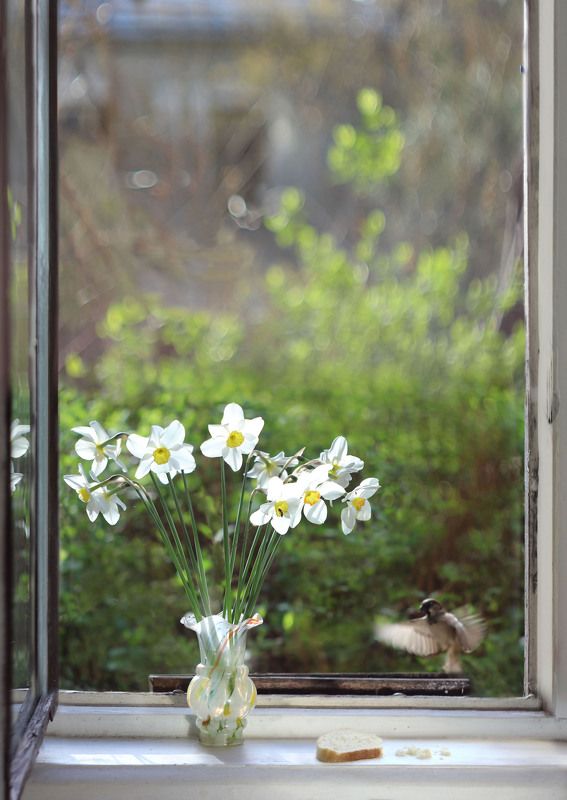 Апрельphoto preview