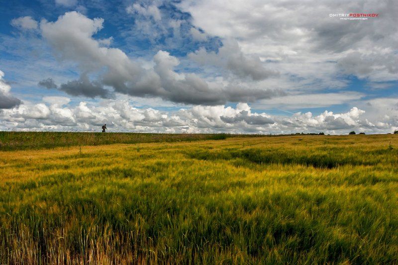Лето, Облака, Пейзаж, Подмосковье, Поле, Природа, Рожь, Россия По дороге с облаками среди полей Подмосковья.photo preview