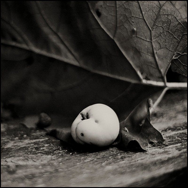 Закатилось...photo preview