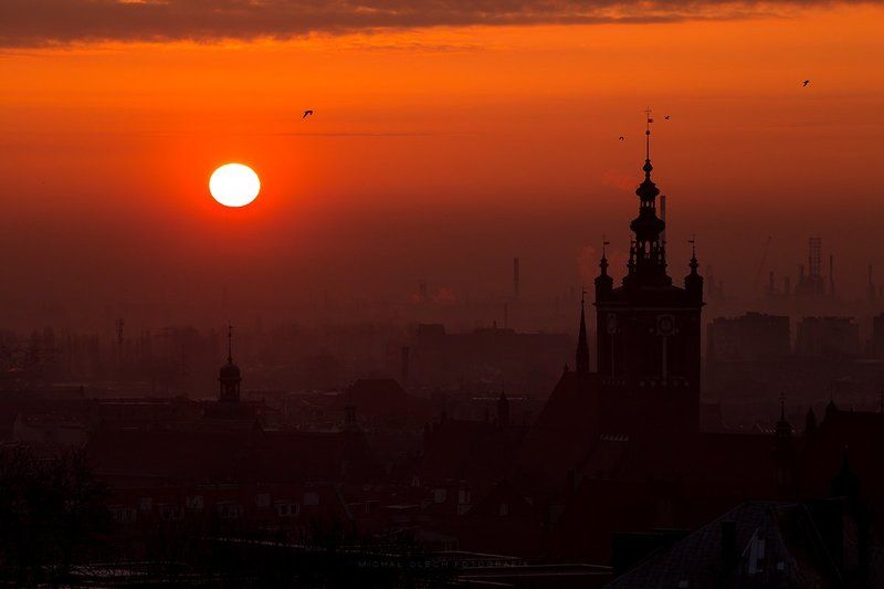Gdansk, Poland, dawn, sunrise, birds, Гданьск, Польша Dawnphoto preview