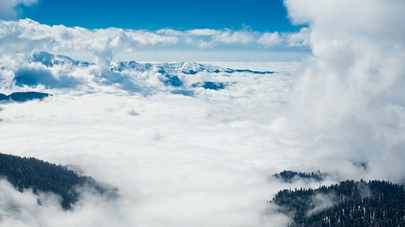 Рекиphoto preview