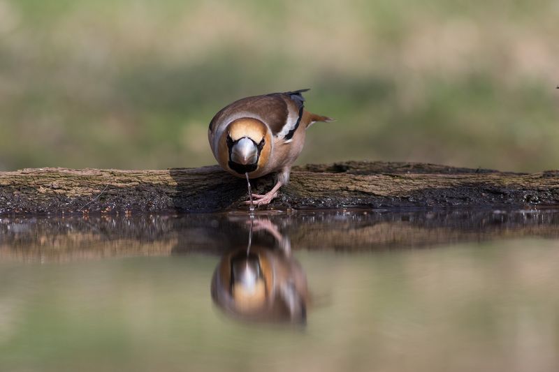 Я вижу тебяphoto preview