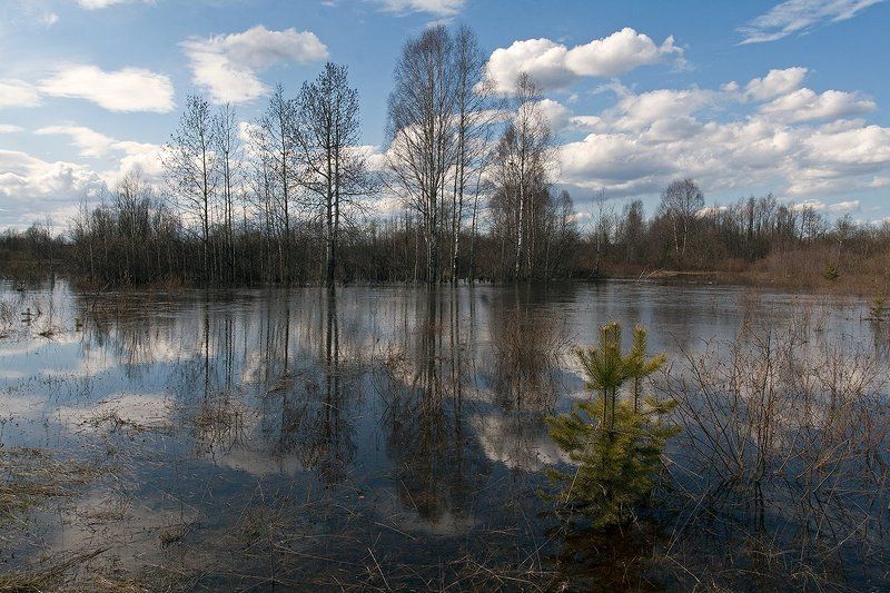 ************photo preview