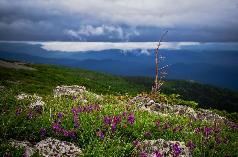 Горы, Приморье, Приморский край Границы мировphoto preview