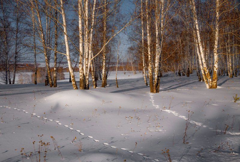 Вечереет. Домой.photo preview