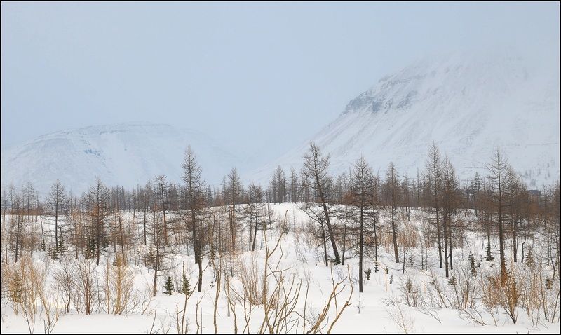 Таймыр.Апрель.Зима. t-10C Суботний деньphoto preview