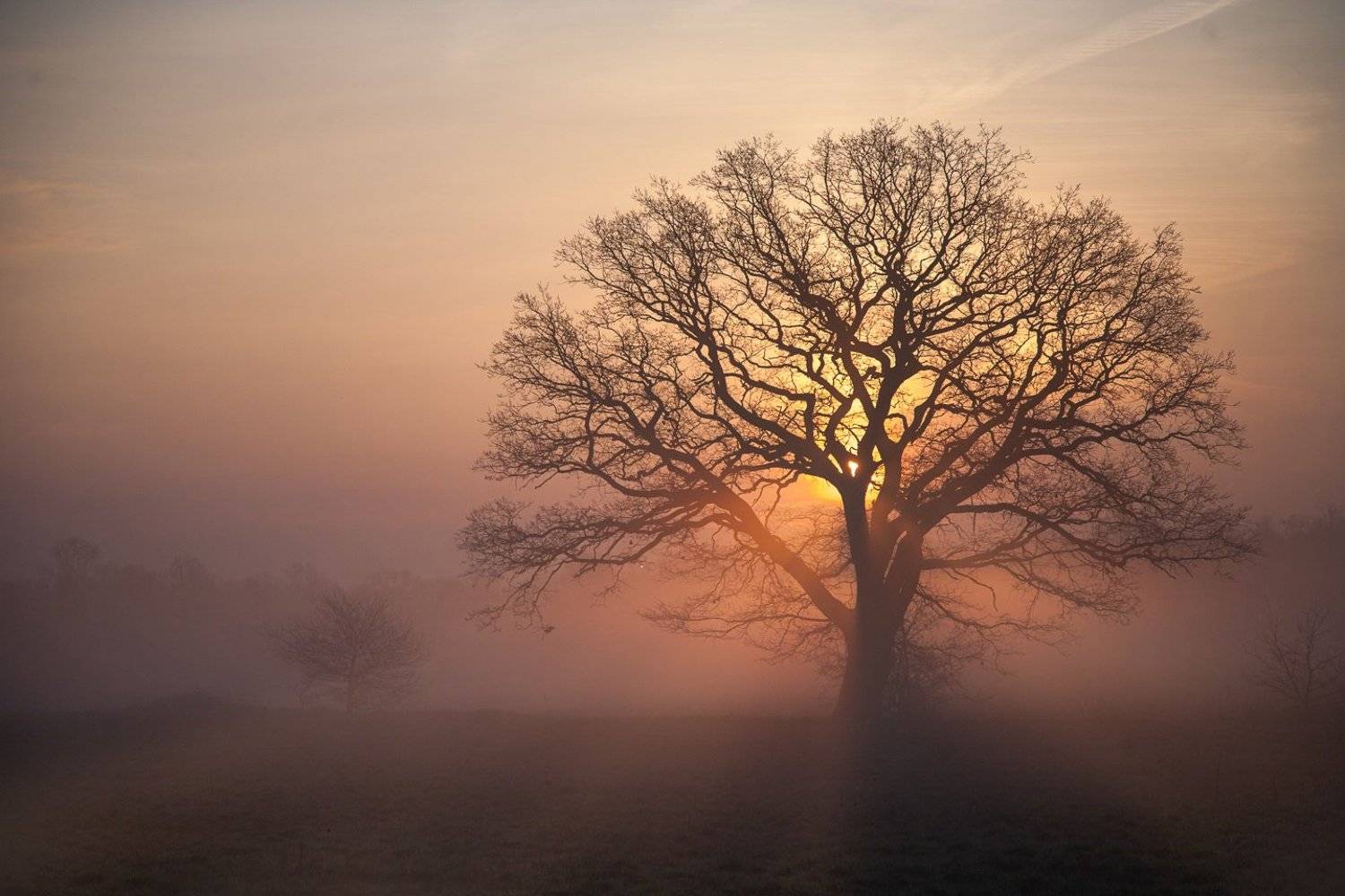 ***. Автор: MiroM , MiroM