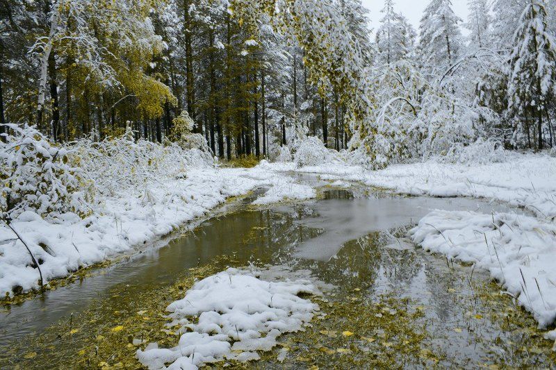 В сентябре (3)photo preview