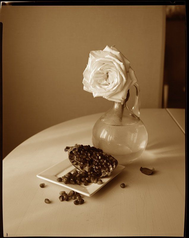 lage format 8x10 Белая розаphoto preview