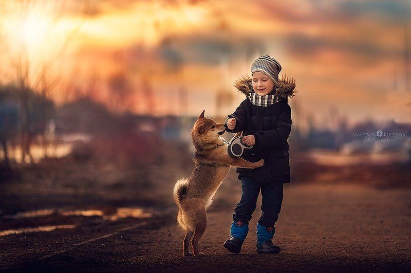 мальчик, собака, весна, шиба Первый день весныphoto preview