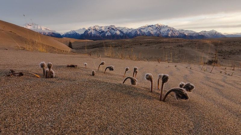 в ожидании тепла photo preview