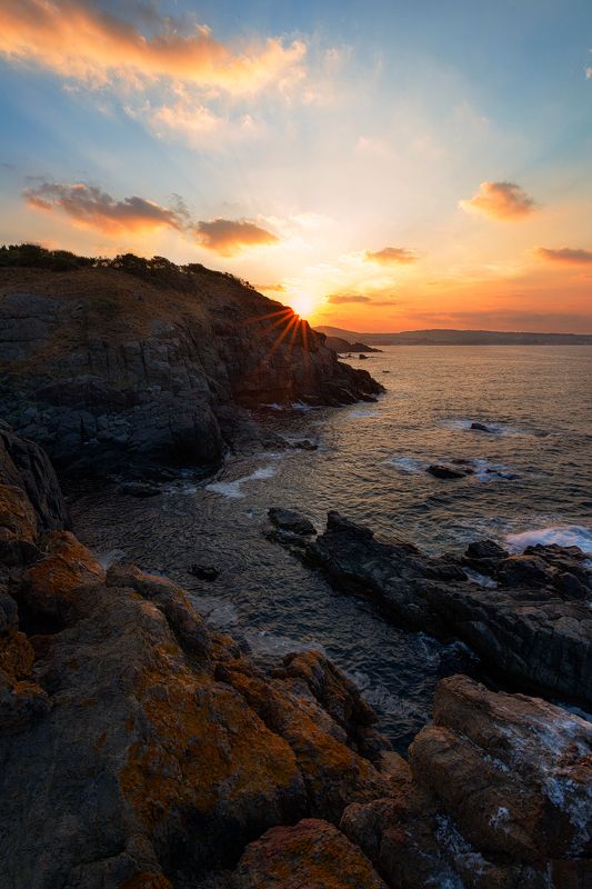 Scent of summerphoto preview