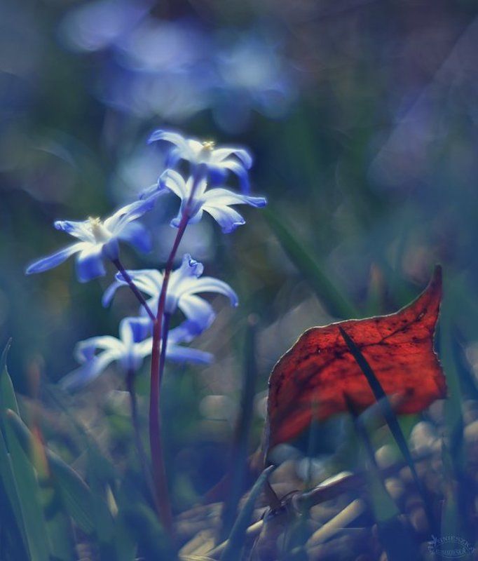 Przebudzeniephoto preview