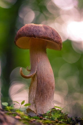 Заходите к нам на огонек...