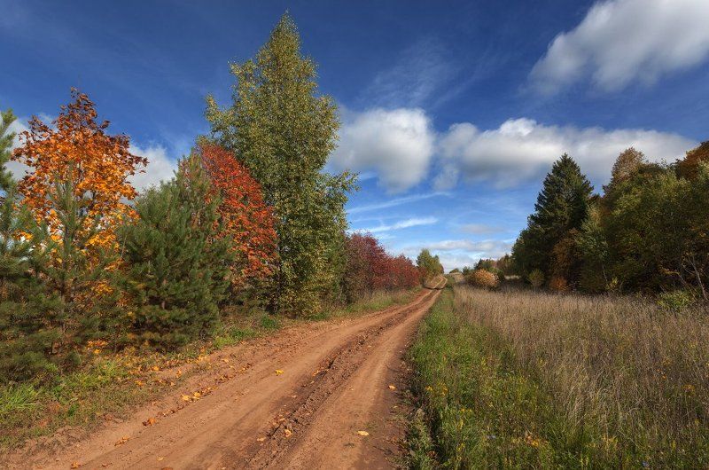 дорога трава лес осень краски облака небо Краски осенней дороги.photo preview