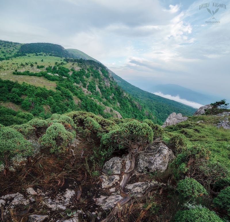 горы облака лес природа крым путешествие приключения небо закат Весенний Чатыр-Даг.photo preview