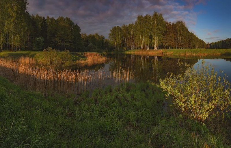 landscape, павловск, павловский, павловский парк, пейзаж, питер Мечты о мае. . .photo preview