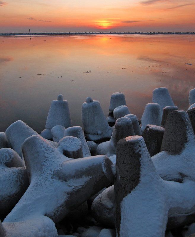 закат, Балтийск, тетраподы Секта свидетелей заката.photo preview