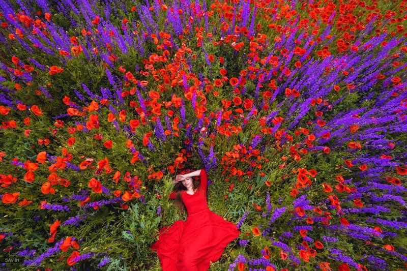 пейзаж, крым, фототур, маки, цветы, красный Цветущий Крымphoto preview