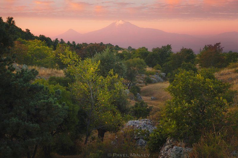 Арарат на рассветеphoto preview