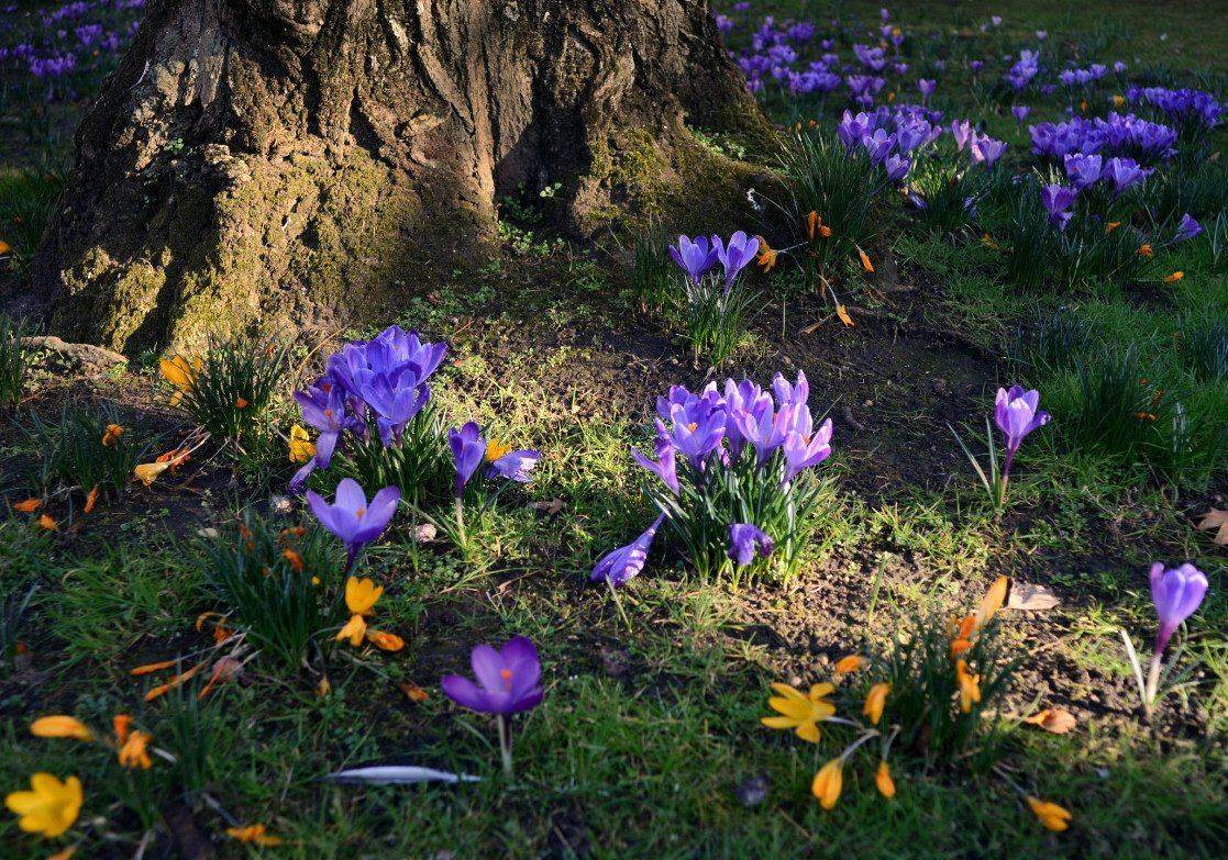 luxembourg, paris, Olga N.