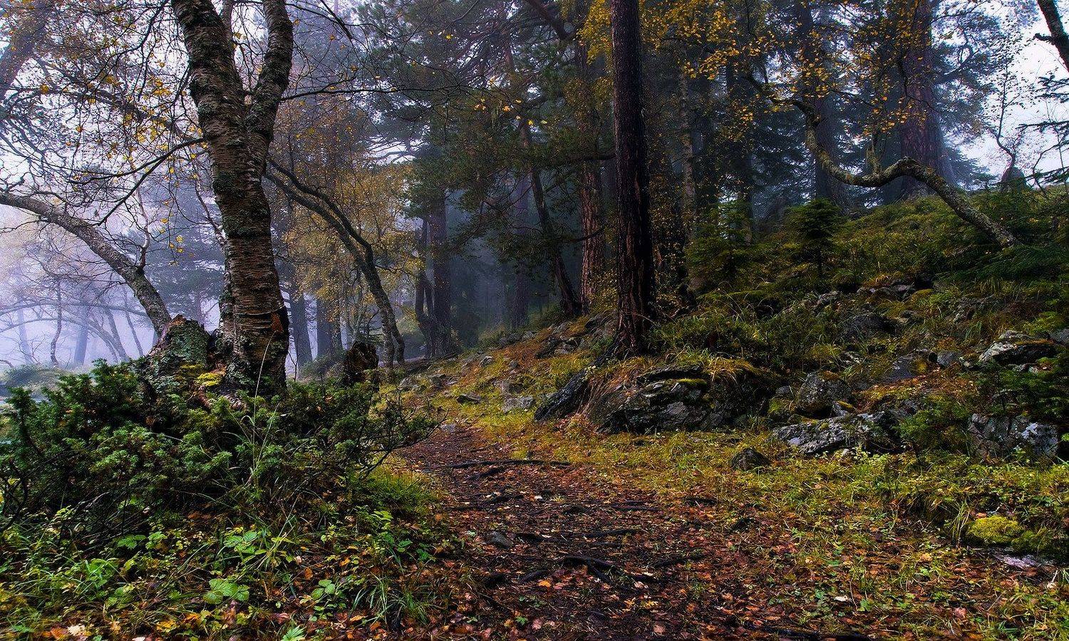 ***. Автор: Олег Скан , Олег Скан