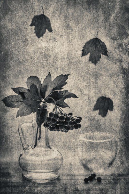 осеньphoto preview