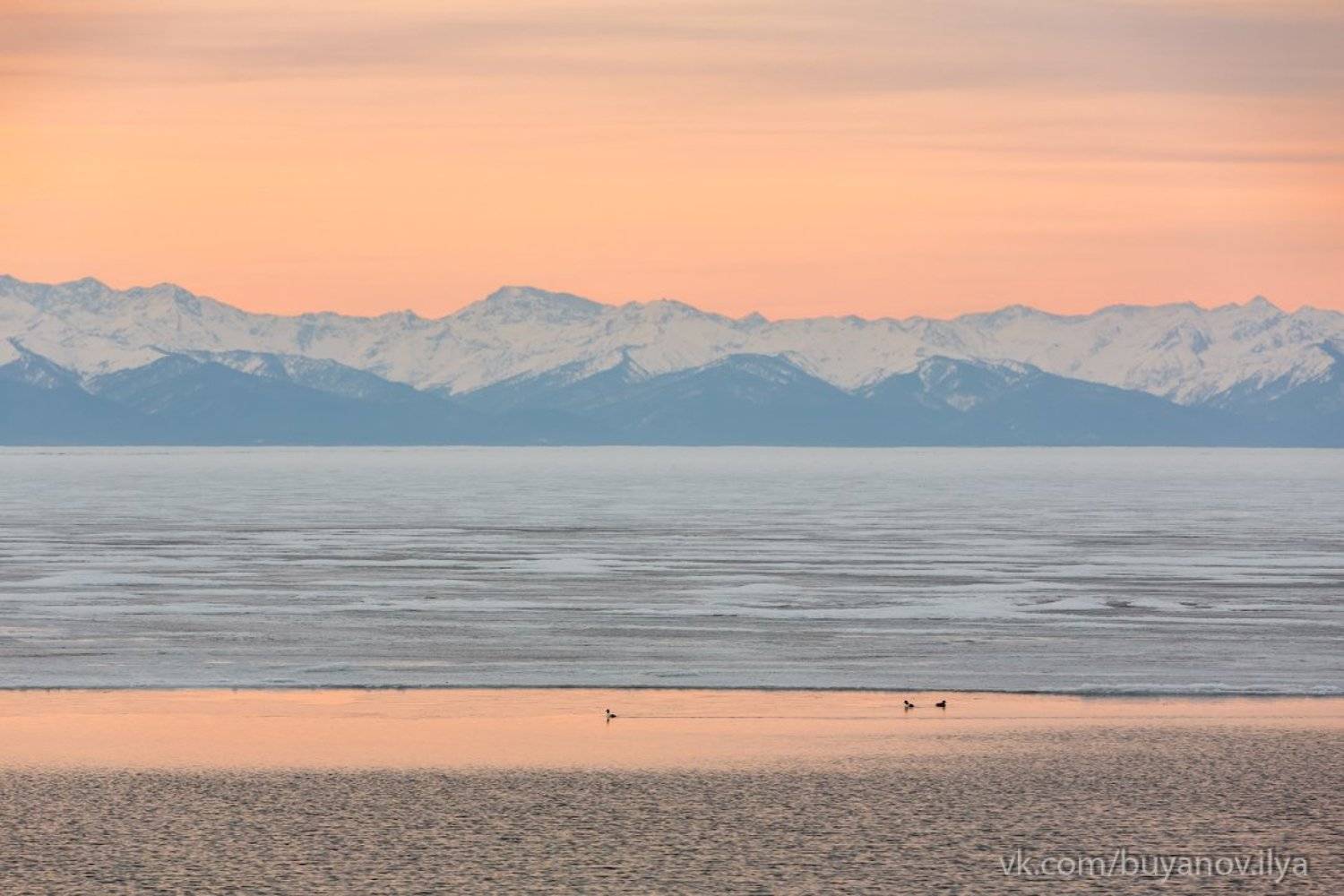 , Илья Буянов