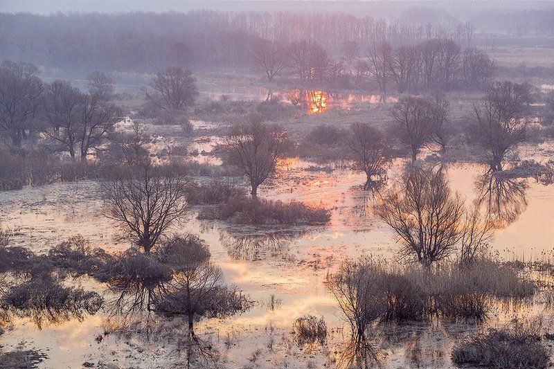 Весенний хоровод.photo preview