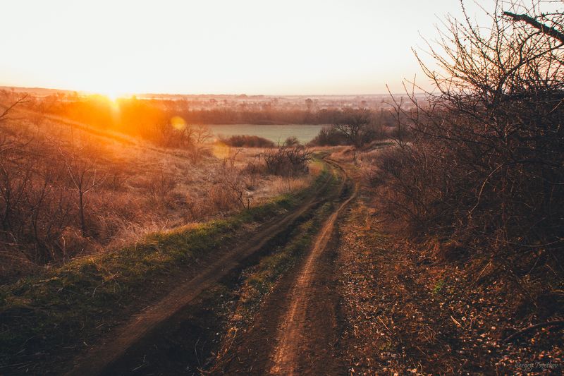 пейзаж, природа, весна, nature, landscape Утренний апрельphoto preview