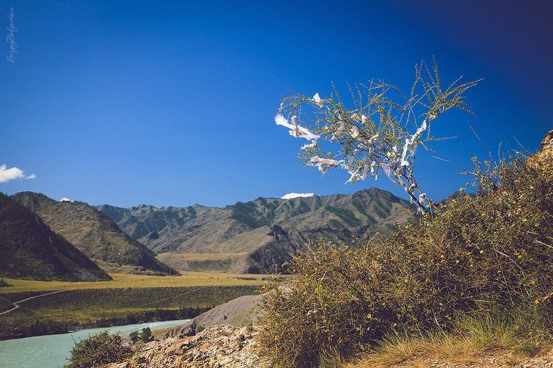 горный, республика, алтай, м52, р256, чуйский, тракт, катунь, чуя, слияние, устье, река, лето, горы, дерево, небо Над Катуньюphoto preview