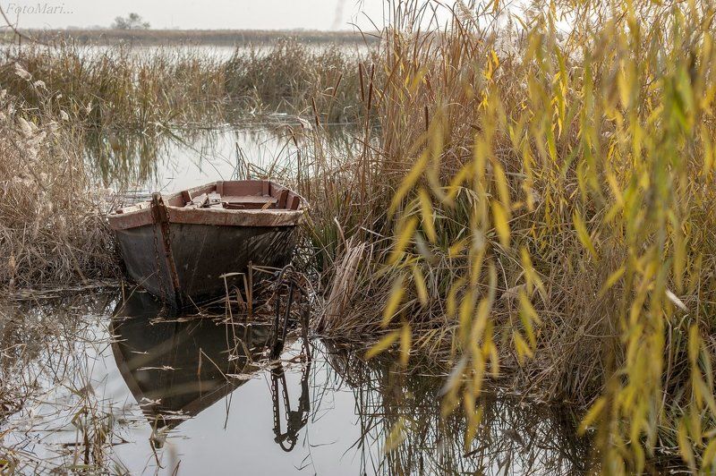 У берега. фото превью