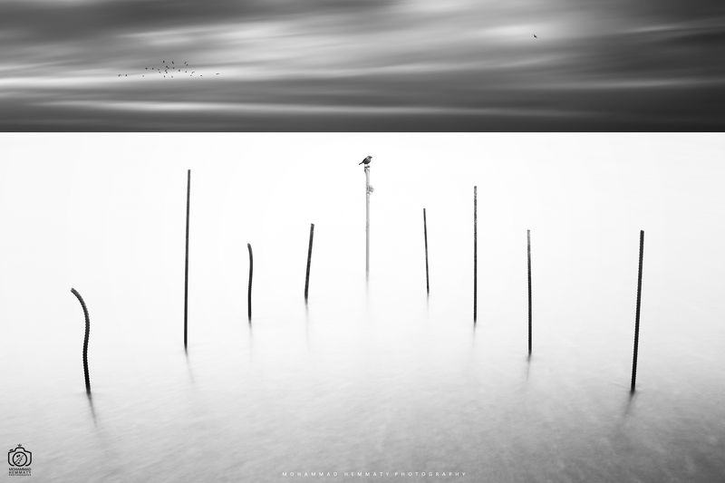 birds,camera,canon,photo,photography,sea,nature,compsition,minimal,art,artistik The Birdsphoto preview