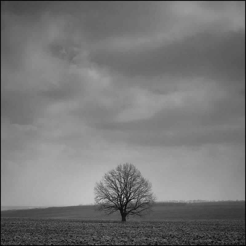 единочествоphoto preview