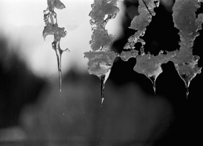 пленка Последнее дыхание зимыphoto preview