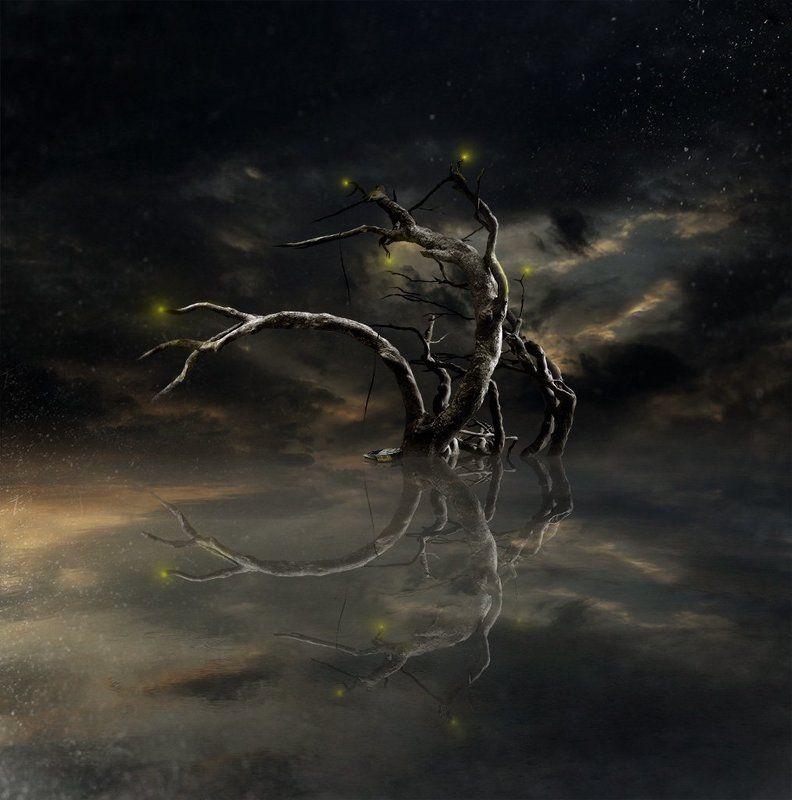 дерево, пейзаж Тернистый свет...photo preview