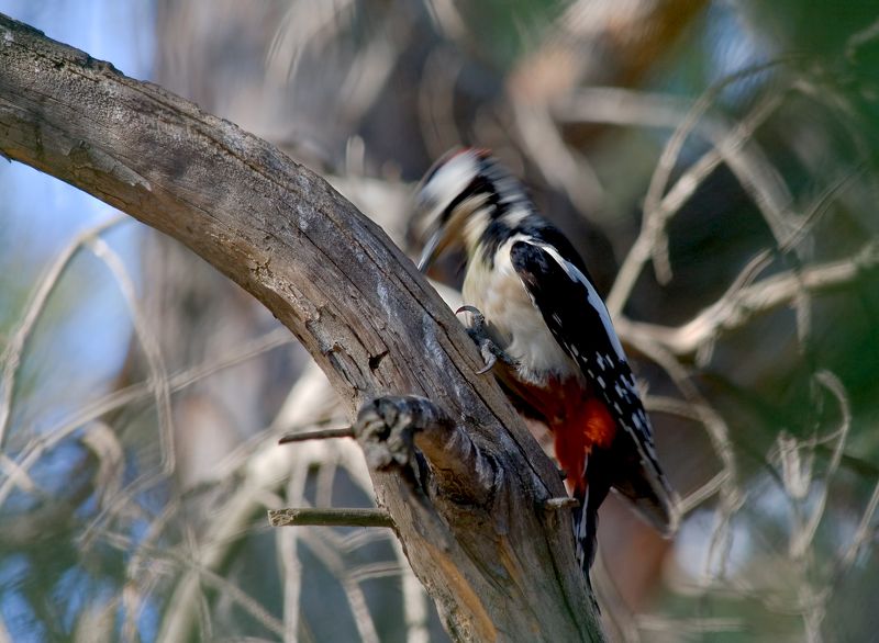 За работойphoto preview