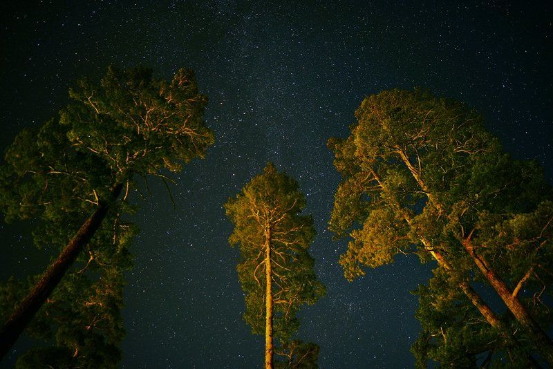 Время не спатьphoto preview