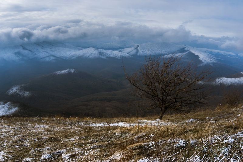 пейзаж, горы, дерево, облака В гостях у другаphoto preview