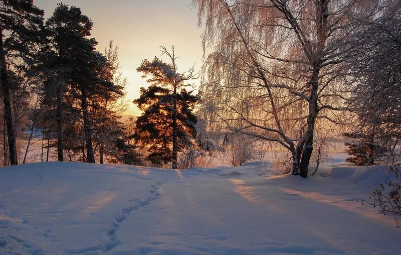 Прохладноеphoto preview