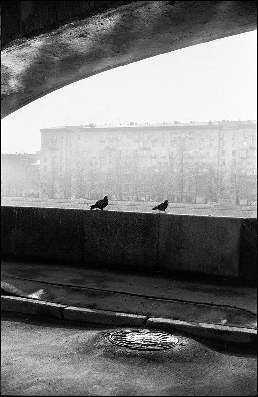 life ***photo preview