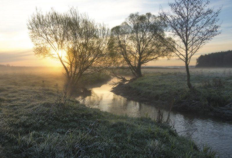 Утро в апреле...photo preview