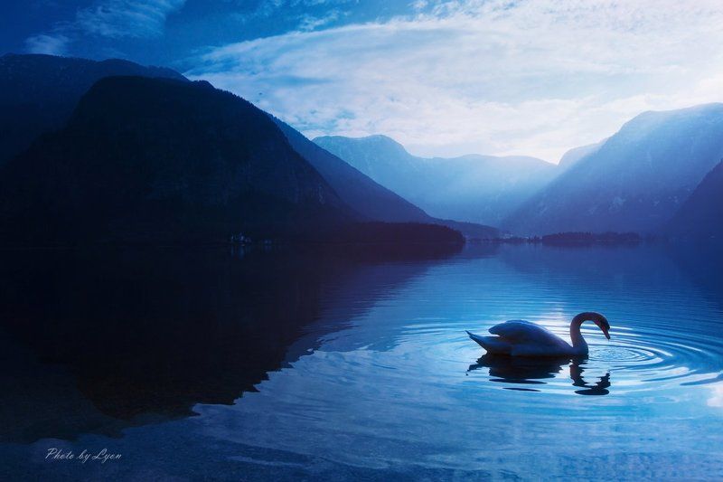 сон  вальс photo preview