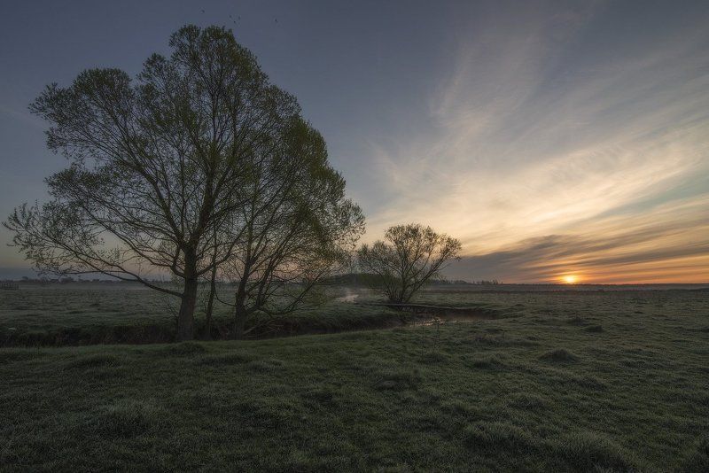 Весенние птицыphoto preview