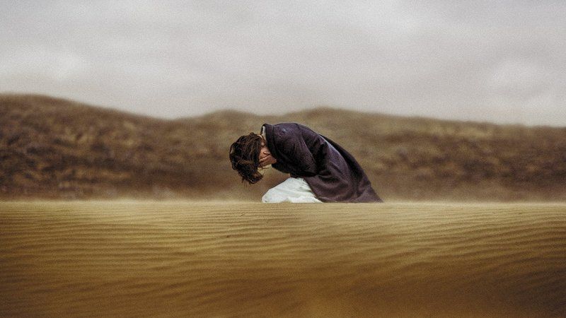 Выход есть...photo preview