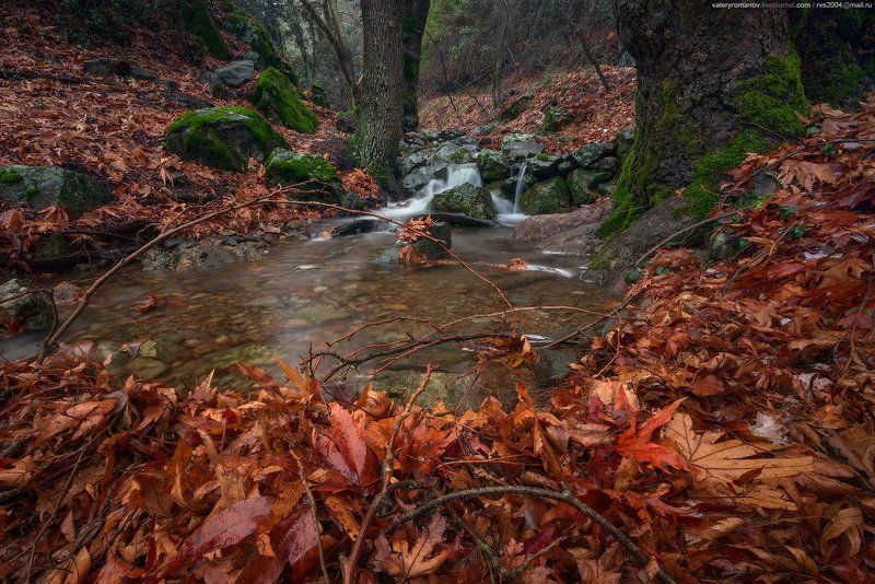 осень, желтый, парк, листья, красный, лес, горы, вода, дерево, золото, лист, оранжевый, темный, водопад, долины, драматический, Кипр, кедр, январь, Троодос, Трипилос, Романов Entrance to Cedar valleyphoto preview