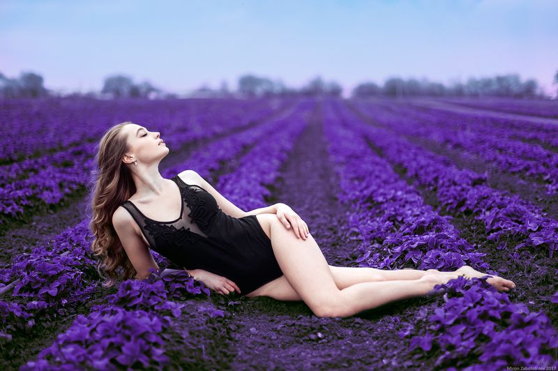 In blossom...photo preview